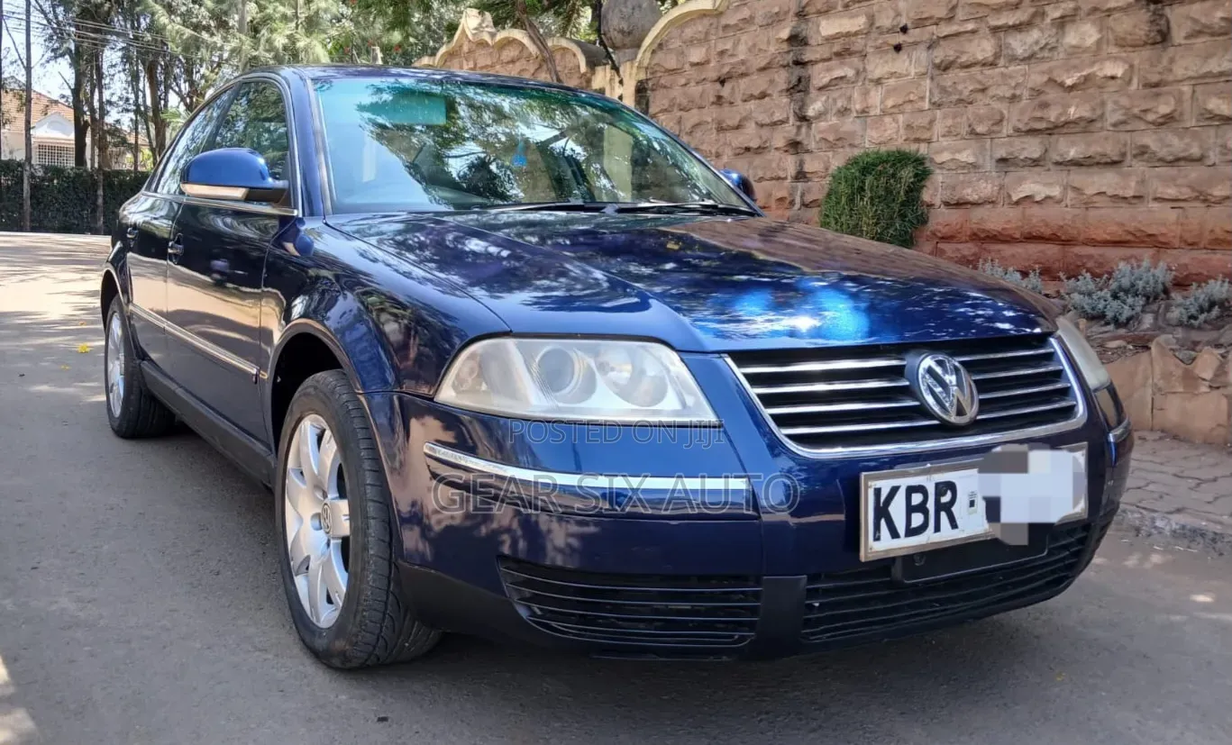 Volkswagen Passat 2.0 2005 Blue