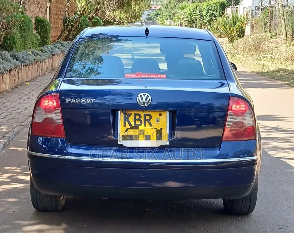 Volkswagen Passat 2.0 2005 Blue