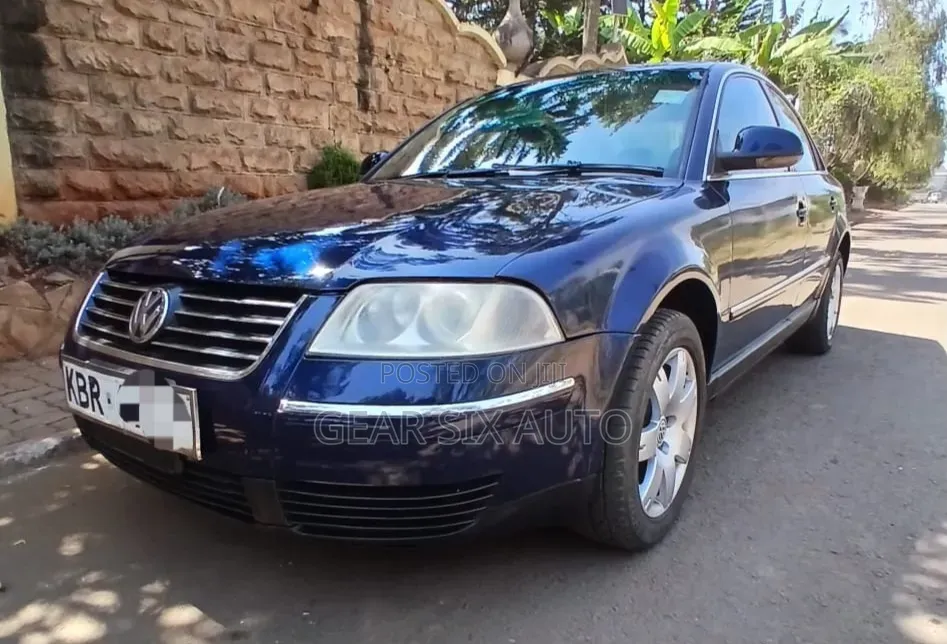 Volkswagen Passat 2.0 2005 Blue