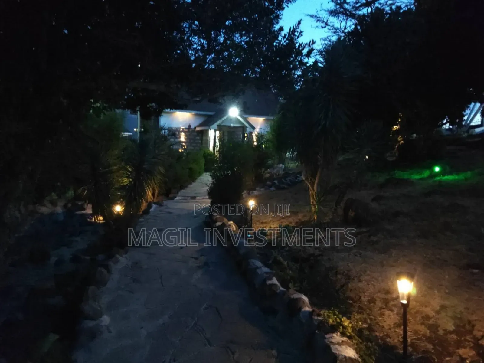Solar Garden Lights