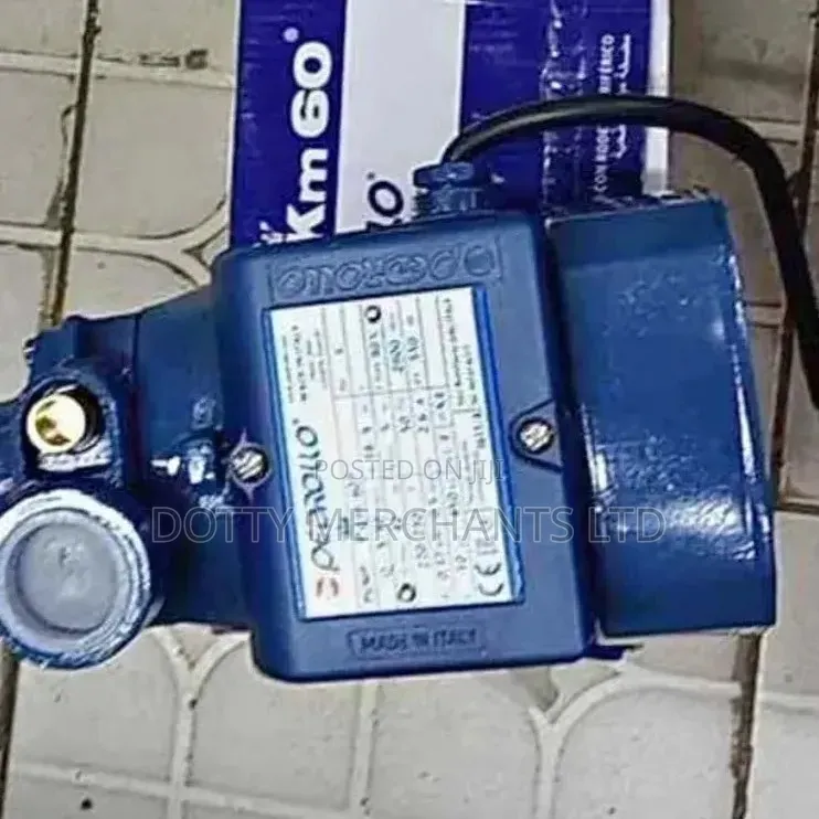 Portable Pedrollo Surface Water Pump