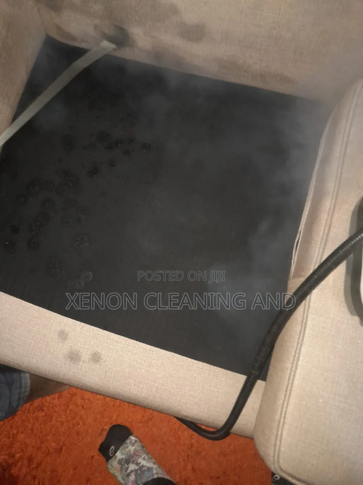 Cleaning and Fumigation Service