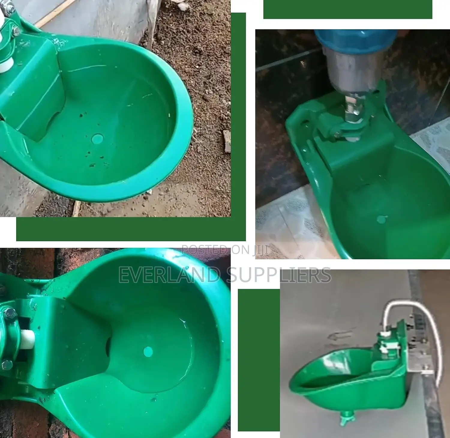 Cows Plastic Drinker- Animal Operated Drinking Bowl