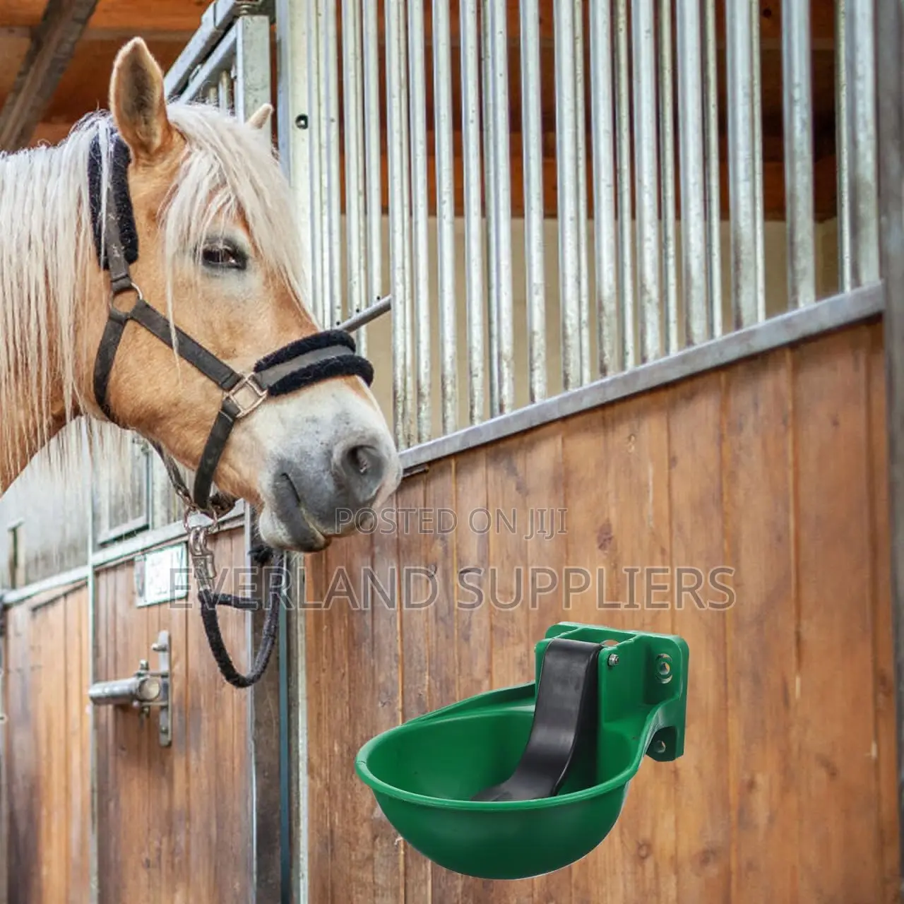 Plastic Cow/Horse Drinker - Pipe Mountable Drinker