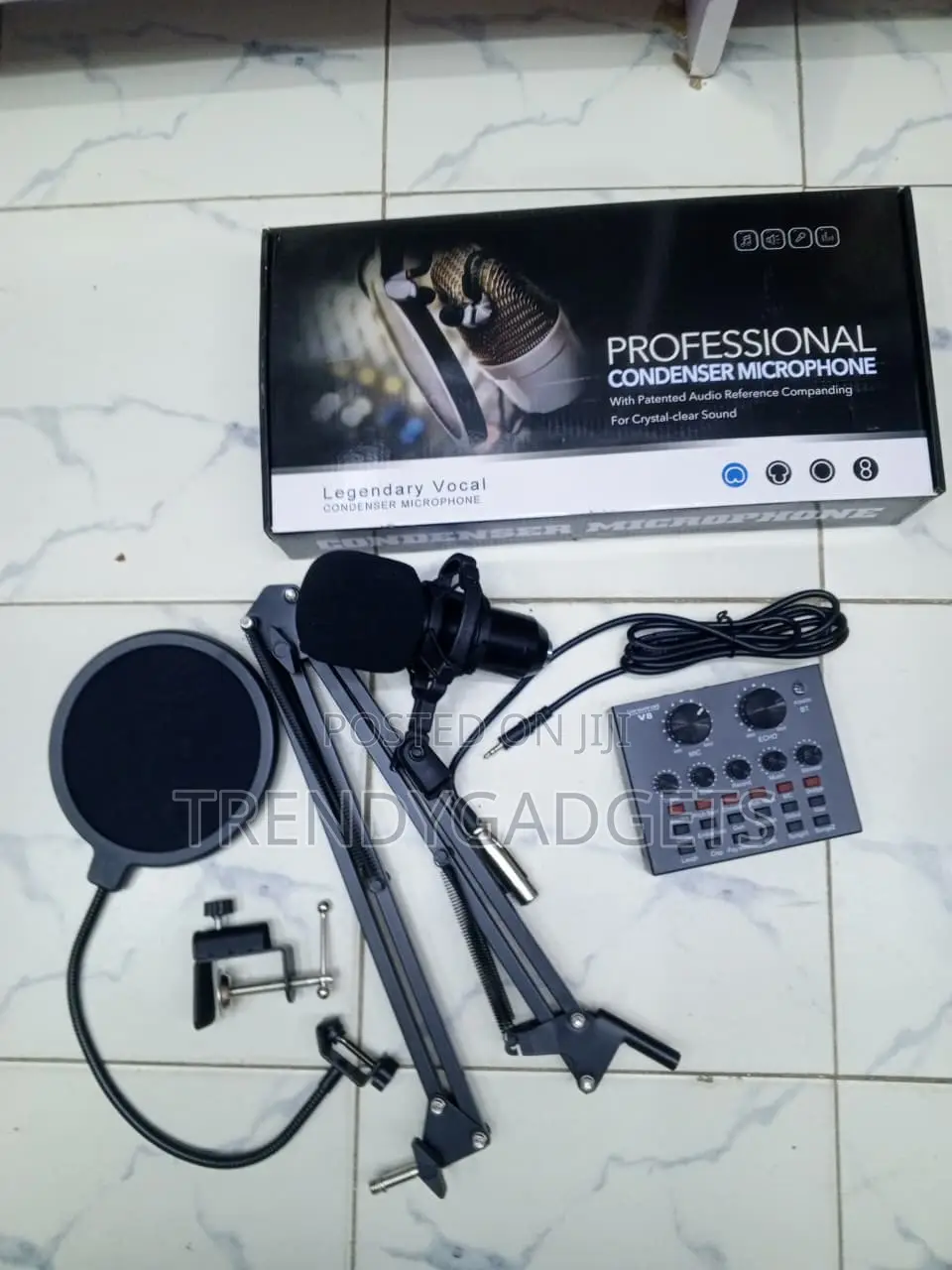 Professional Vocal Condenser Mic Set With Boom Arm & Pop Filter