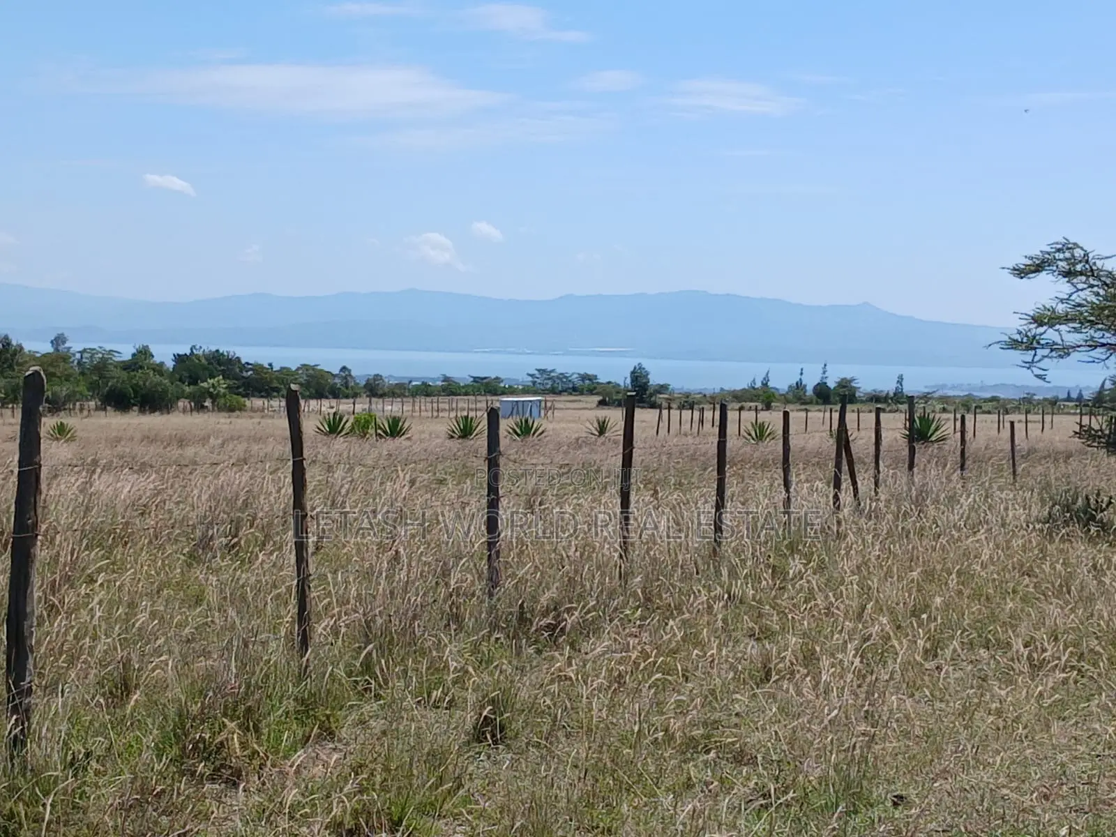Selling for 750,000 in Cash, in Naivasha, 50 by 100 Plots