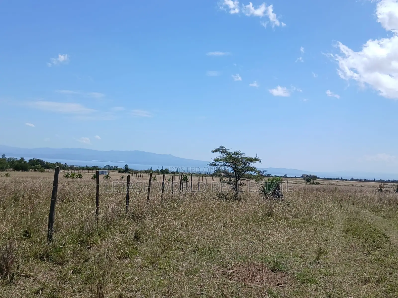 Selling for 750,000 in Cash, in Naivasha, 50 by 100 Plots