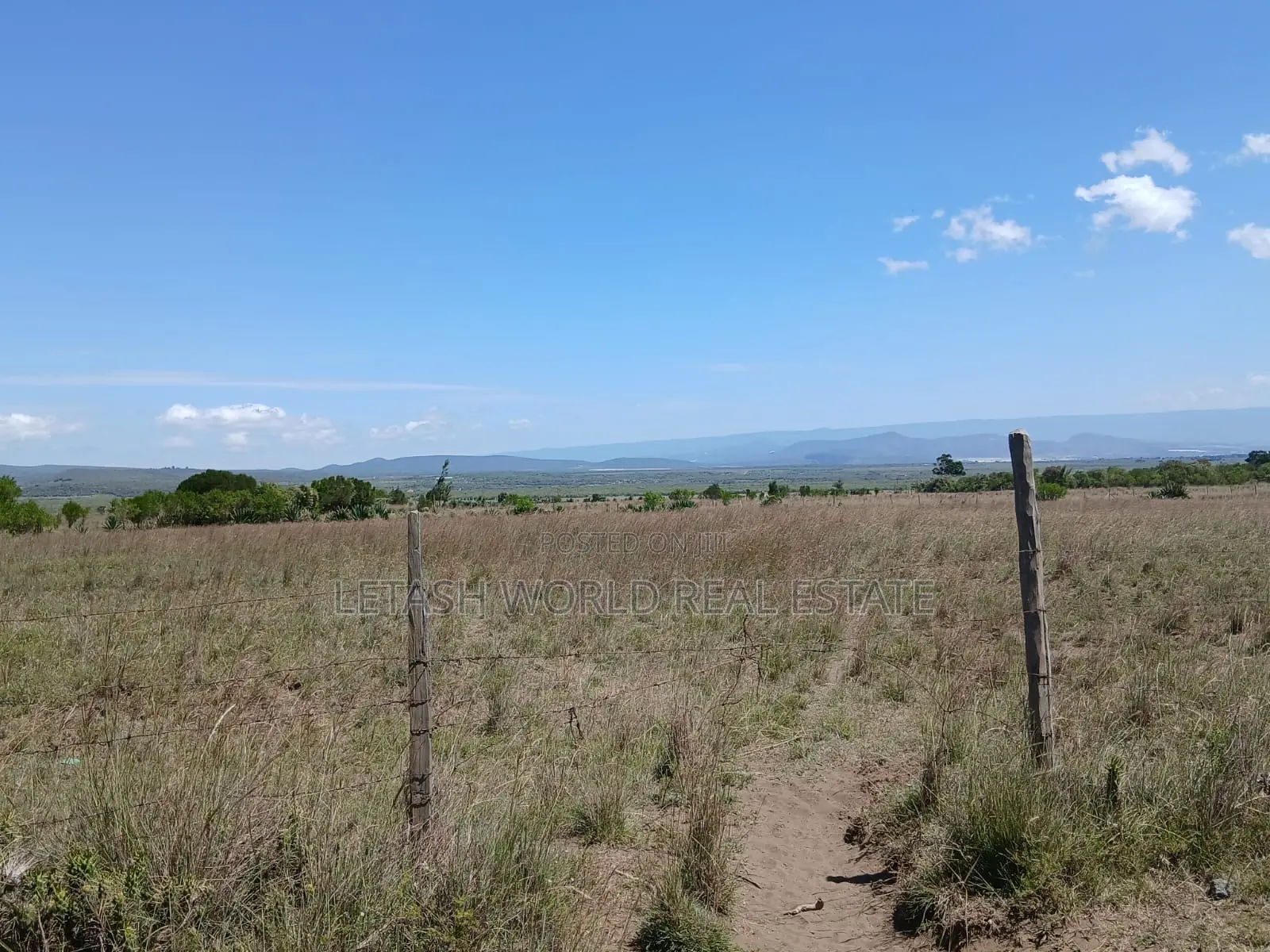 Selling for 750,000 in Cash, in Naivasha, 50 by 100 Plots