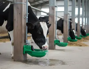Automatic Drinking Bowl for Cows