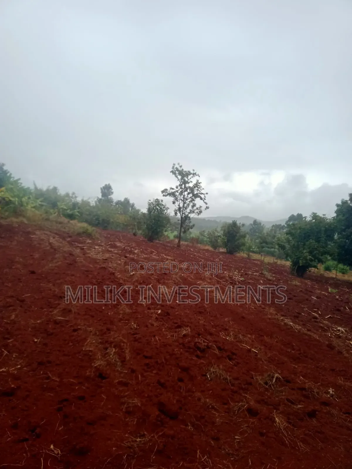 4.5 Acres on Sale at Kerugoya