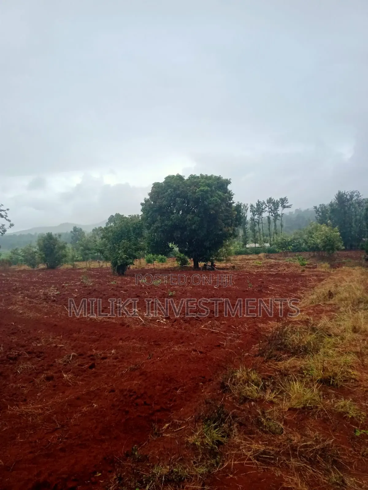 4.5 Acres on Sale at Kerugoya