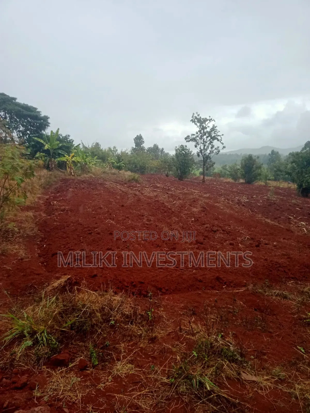 4.5 Acres on Sale at Kerugoya