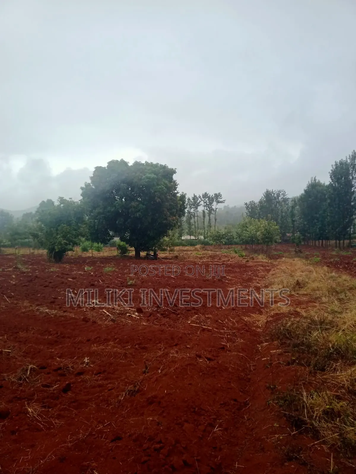 4.5 Acres on Sale at Kerugoya
