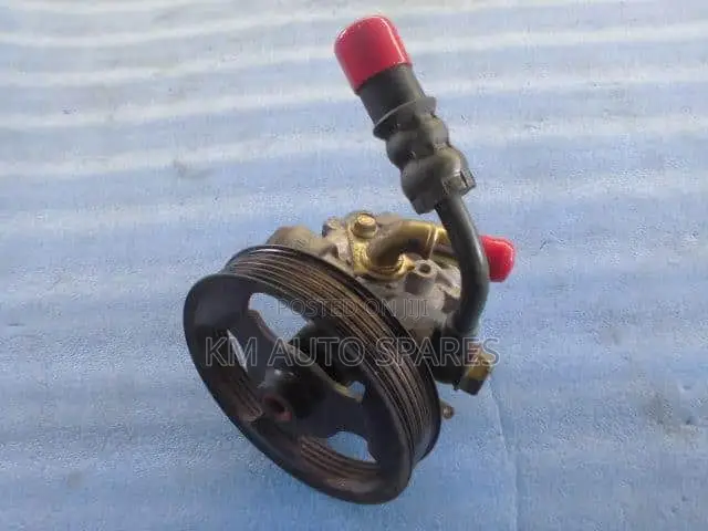 Mazda ZJ Power Steering Pump for Mazda Demio.