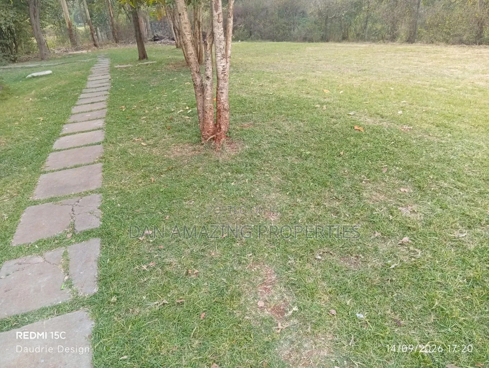 7 Bedrooms Mansionate Karen 3d on 1 Acre for Rent as Commercial