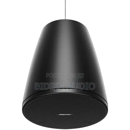 Bose Professional DesignMax DM5P