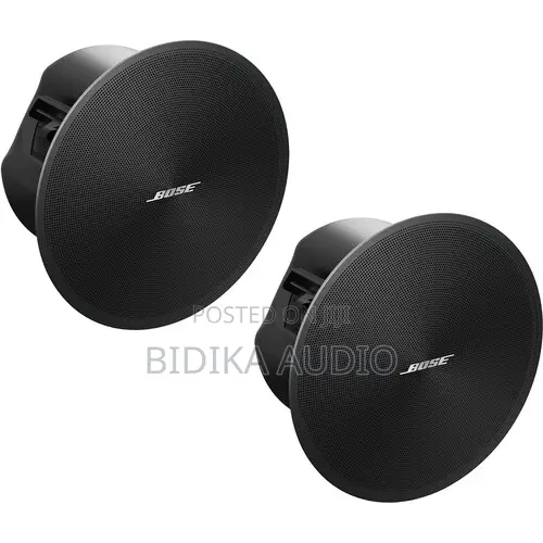 Bose Professional DesignMax