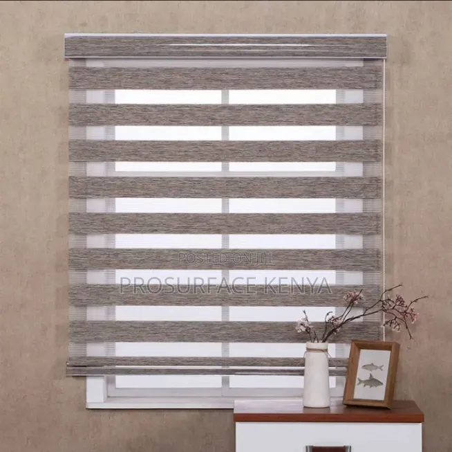 Zebra Blinds for Better Light Control & Privacy