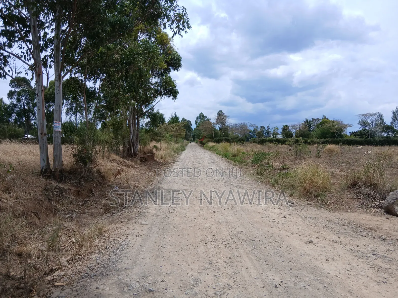 3 Acreas Located Along Nanyuki Nyeri Highwah Burgret