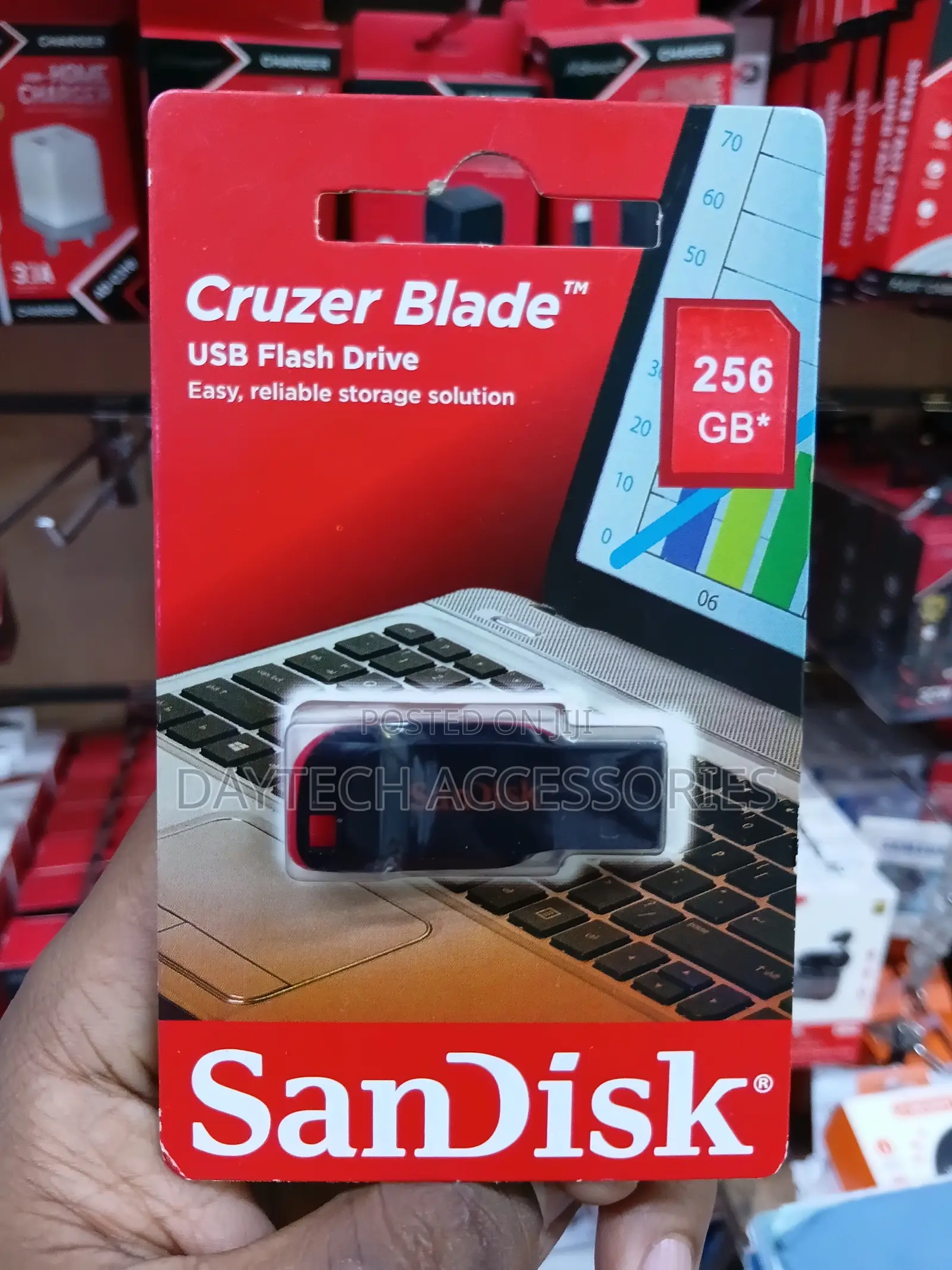 SanDisk Cruzer Blade 256GB USB 2.0 Flash Drive