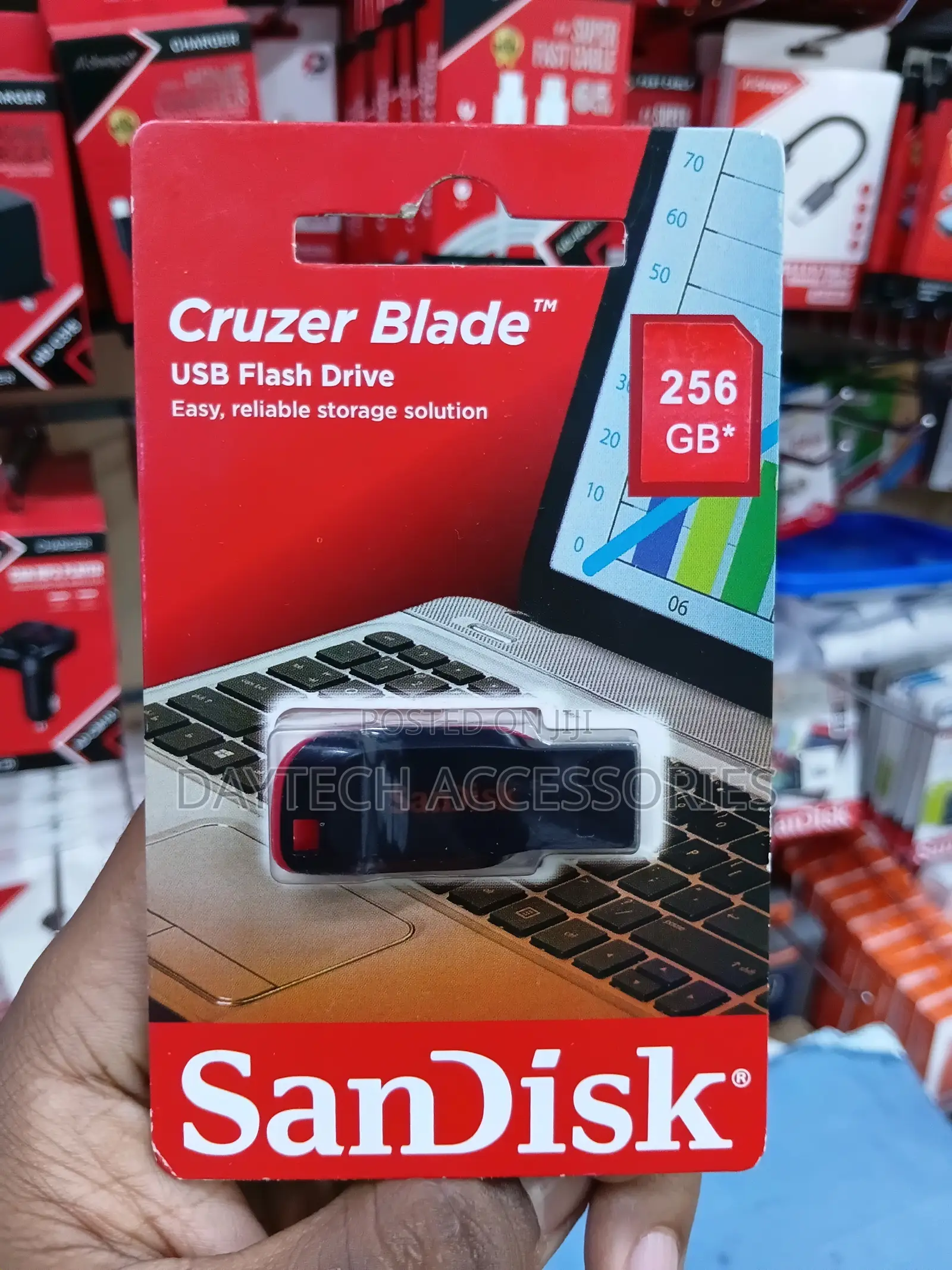 SanDisk Cruzer Blade 256GB USB 2.0 Flash Drive