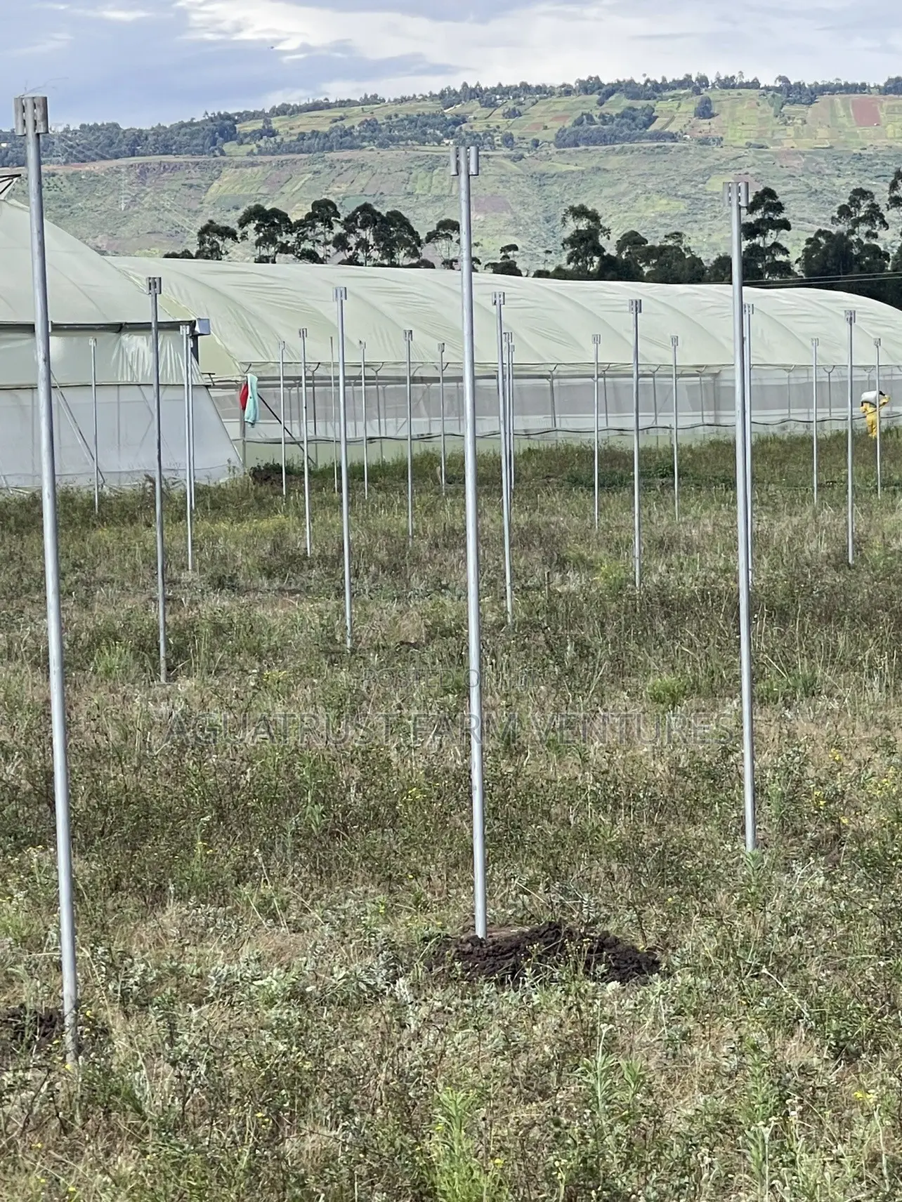 Greenhouse Installation
