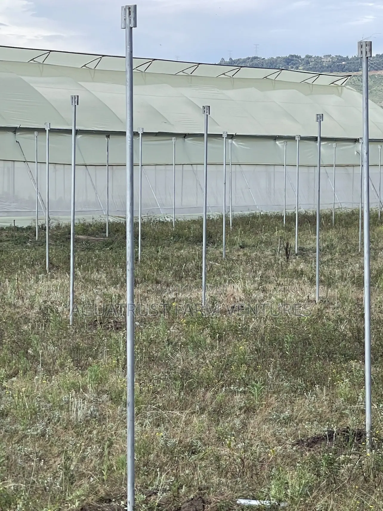 Greenhouse Installation