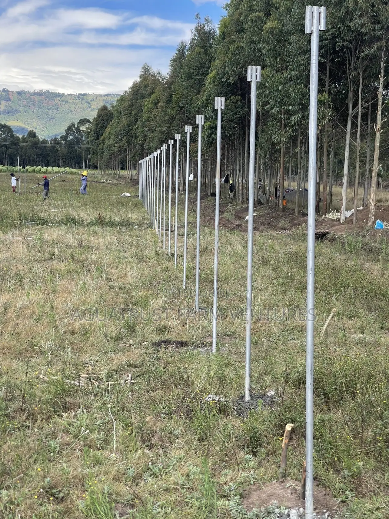 Greenhouse Installation