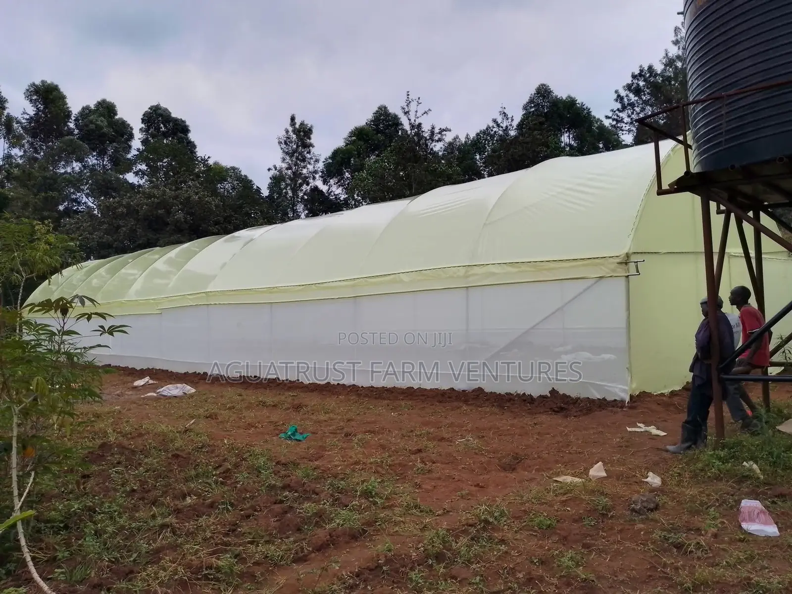 Greenhouse Installation