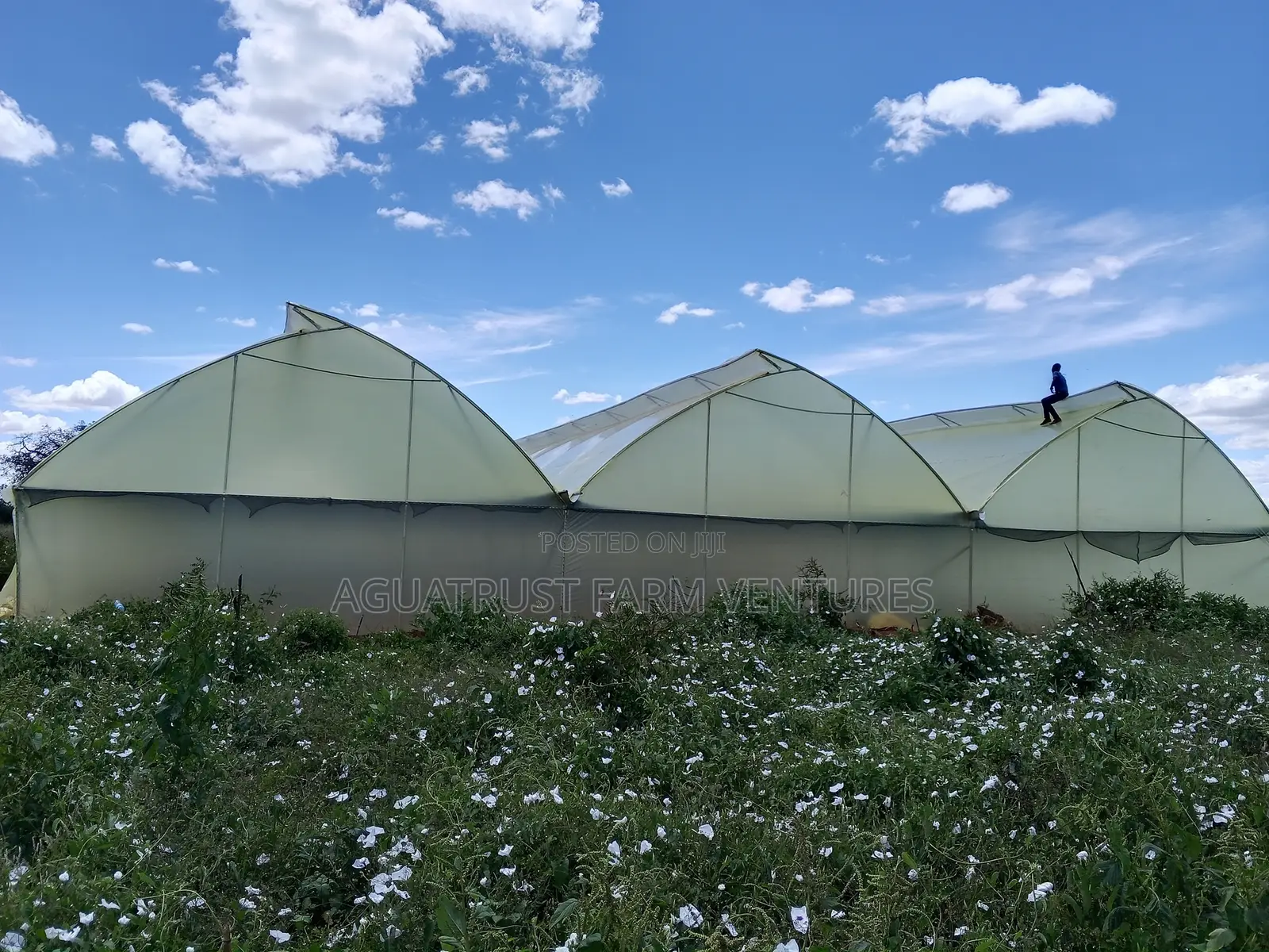 Greenhouse Installation