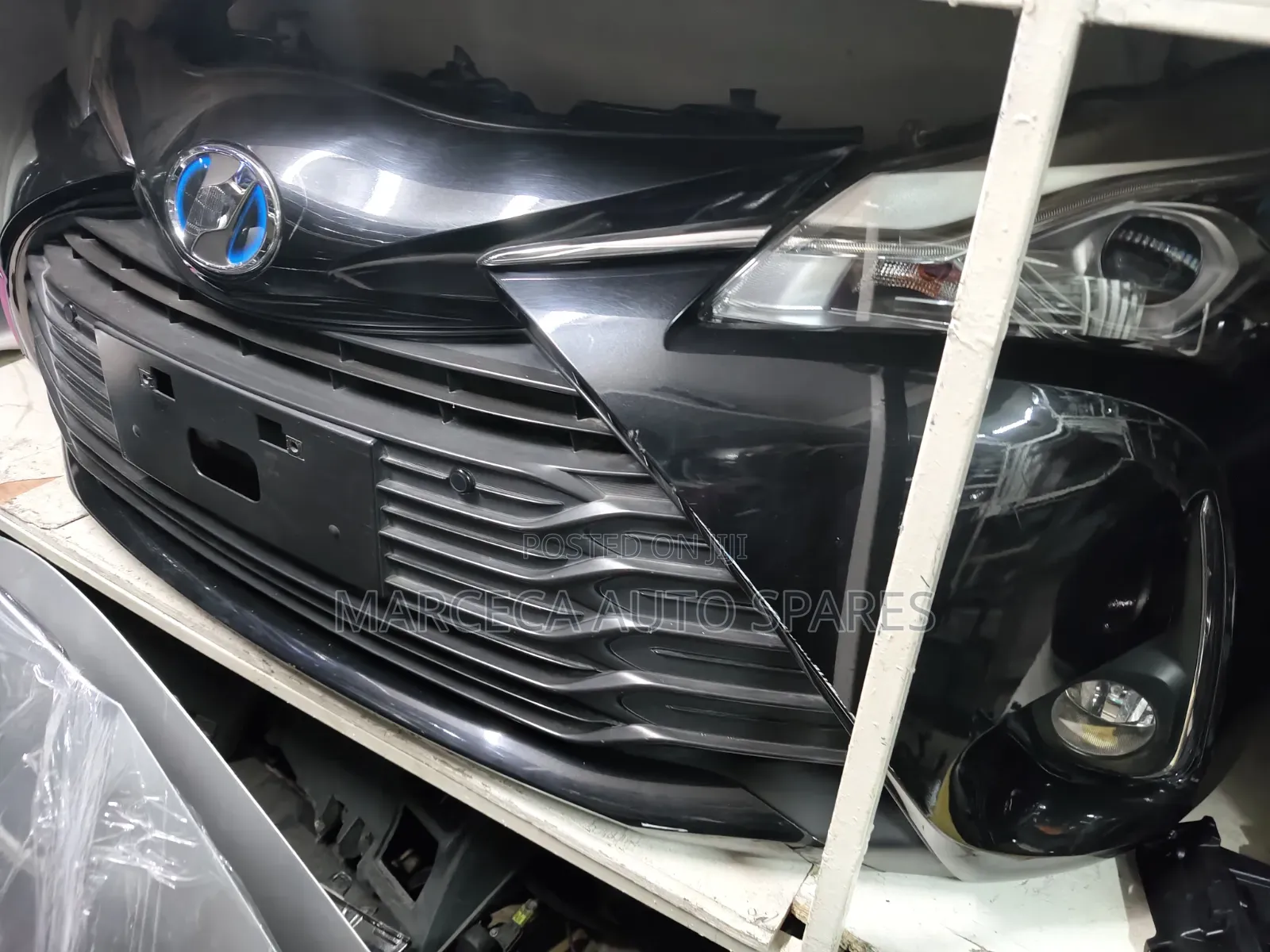 Nosecut Jewela 2018 Xenon
