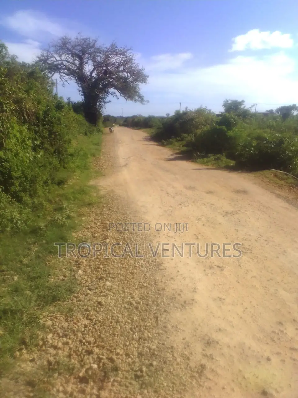 Beach Land for Sale