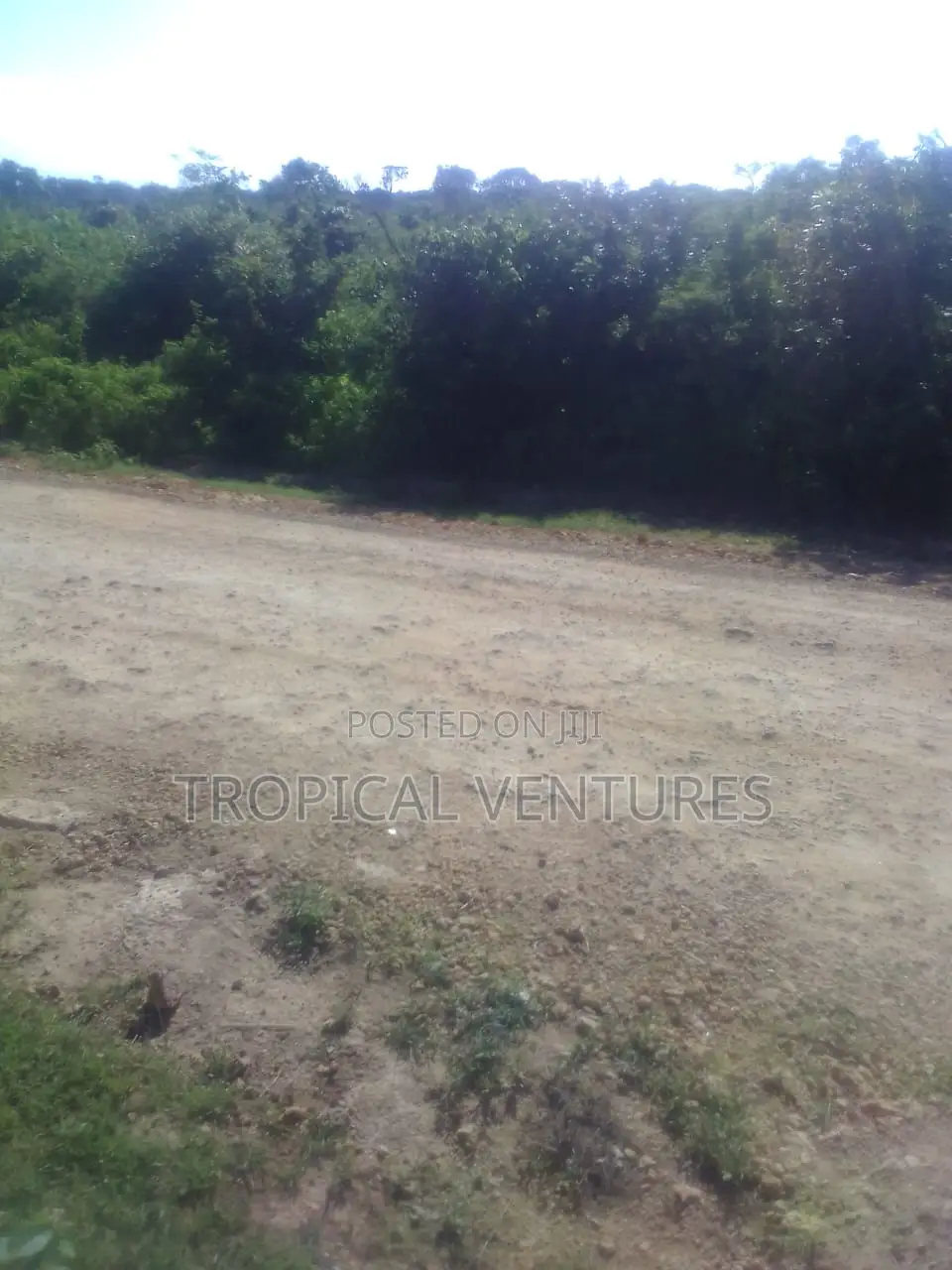 Beach Land for Sale