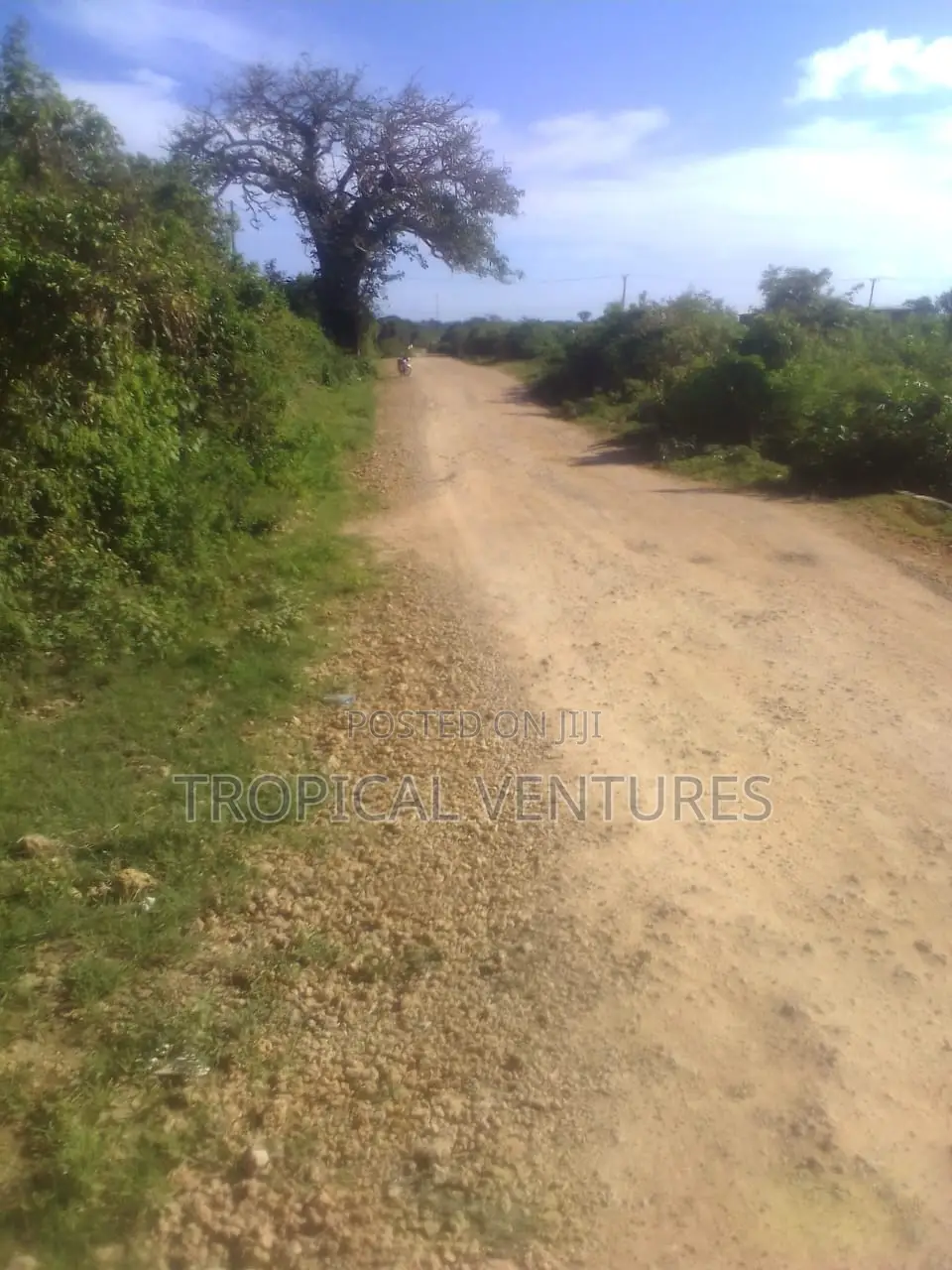 Beach Land for Sale