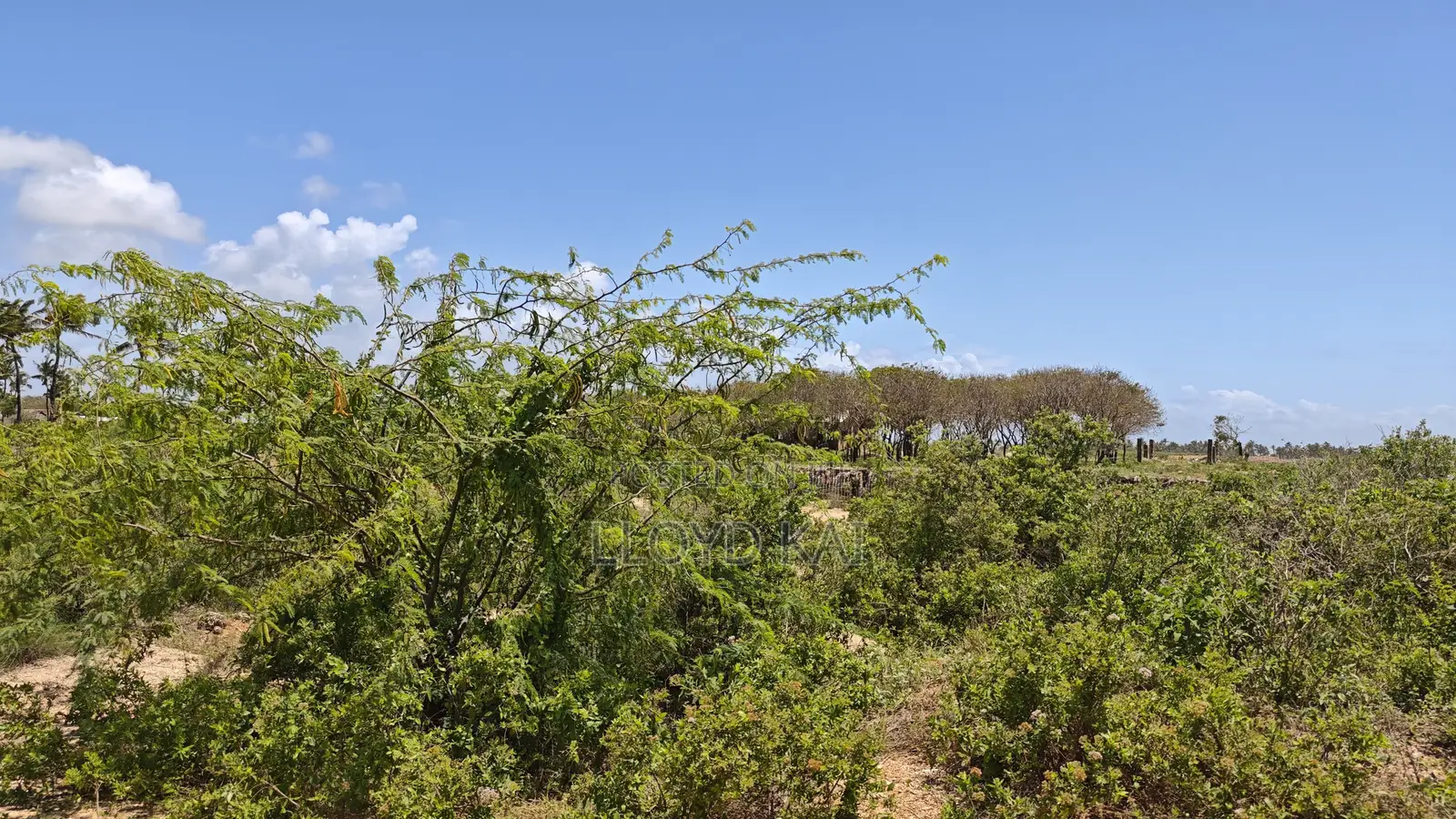 Quick Sale by Owner! 10.9 Acres for Sale at Ksh.1.8M Per Acre