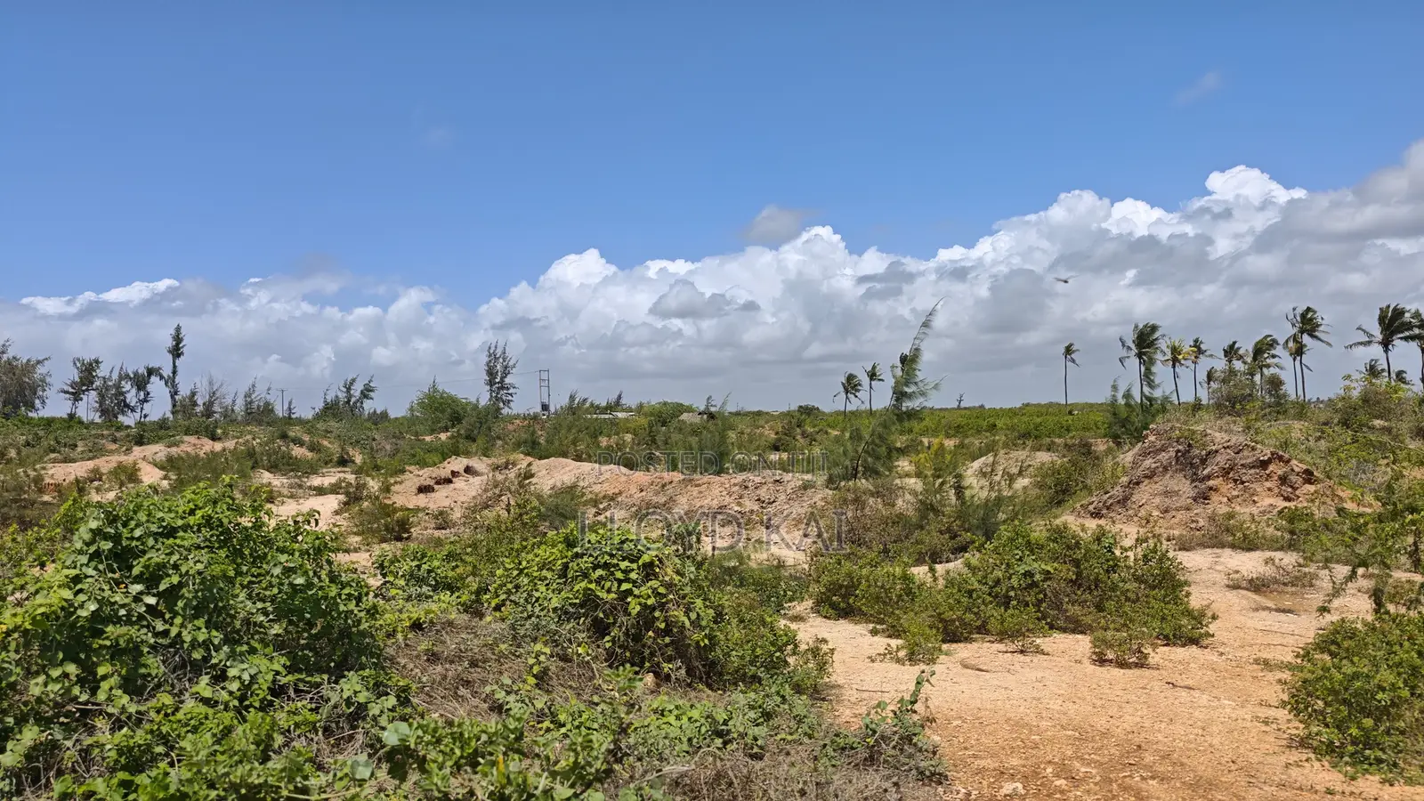 Quick Sale by Owner! 10.9 Acres for Sale at Ksh.1.8M Per Acre