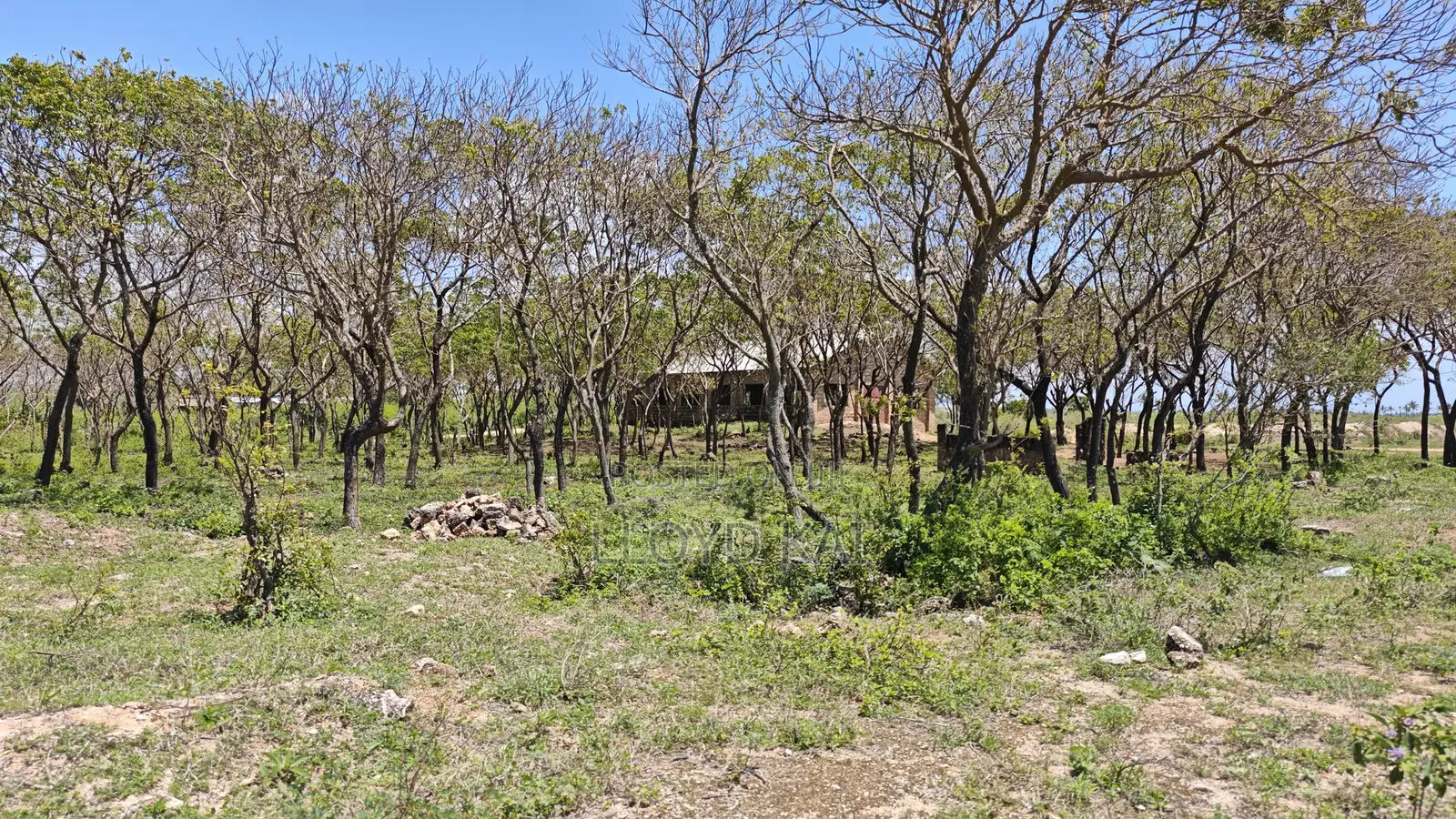 Quick Sale by Owner! 10.9 Acres for Sale at Ksh.1.8M Per Acre