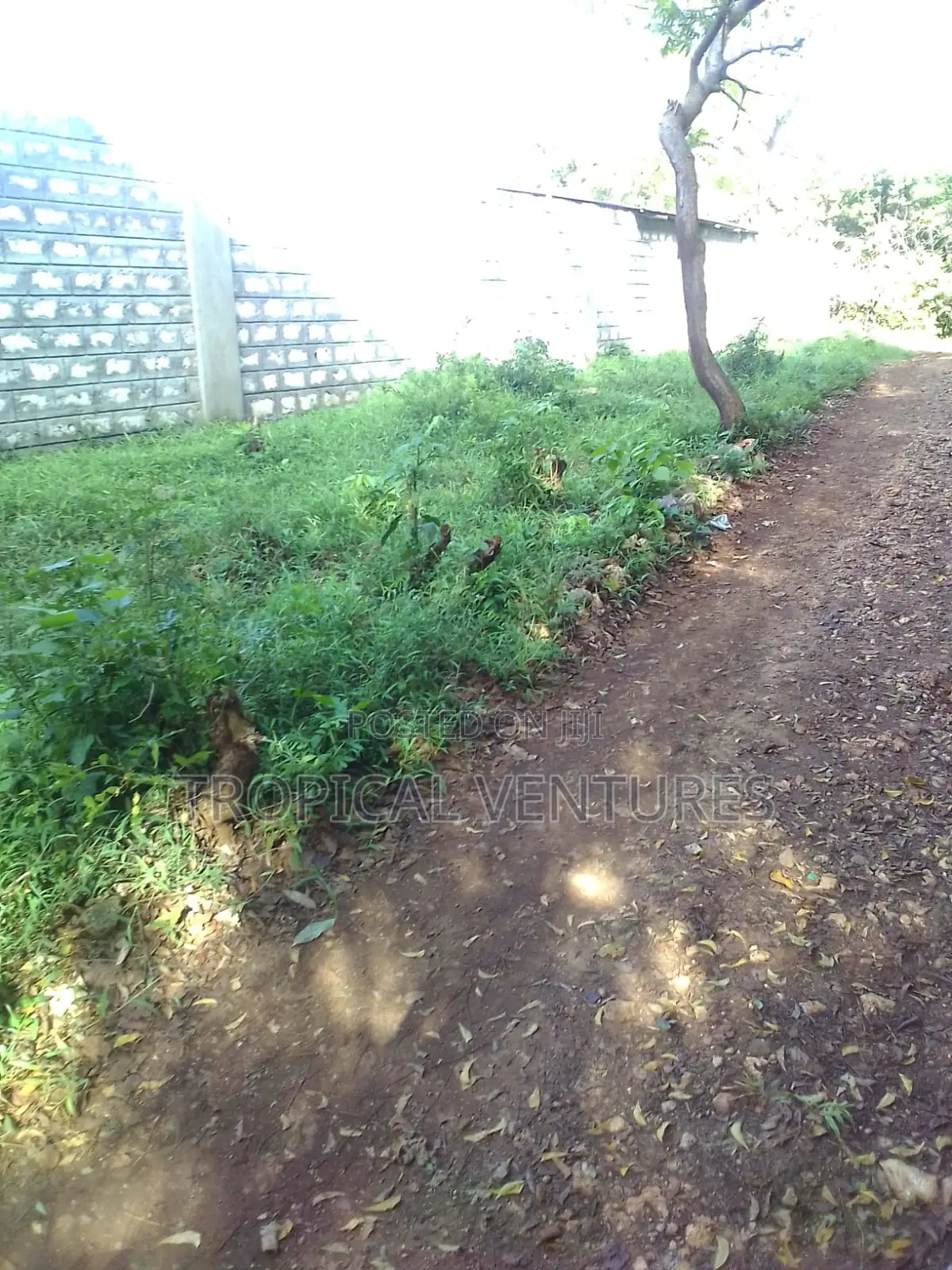 Beach Plot for Sale