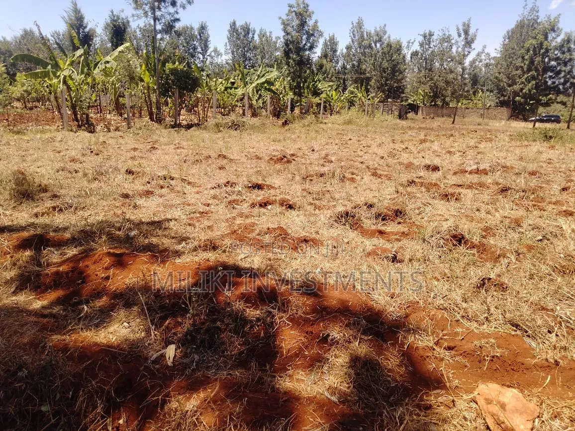 1 Acre on Sale at Thika-Maguguni
