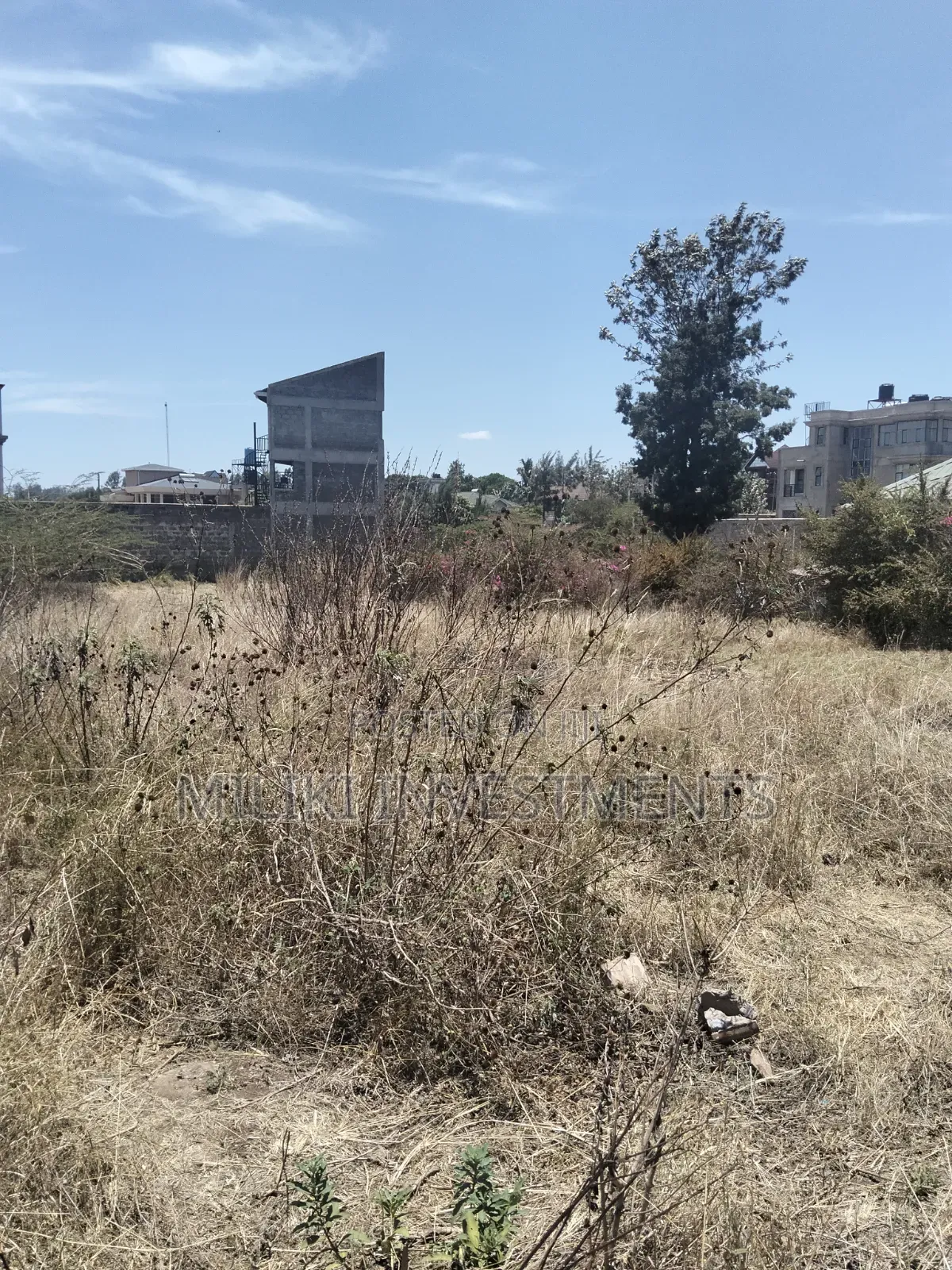 Two 60 by 150 Ft Plot on Sale at Githingiri