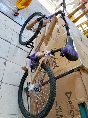 Reset 24" Mountain Bike 