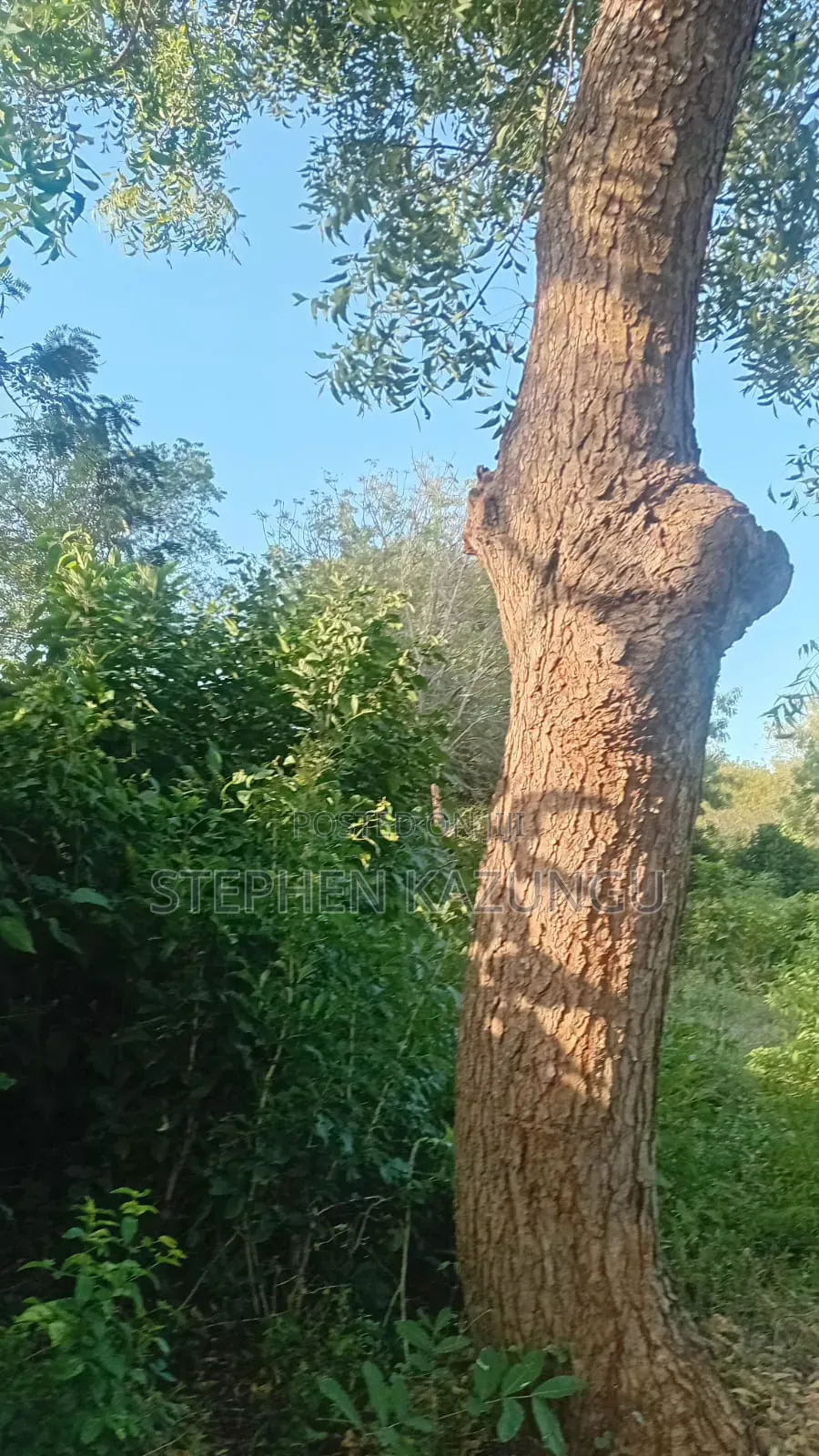 Galu Beach 1 Acre Plot on Sale at Kosovo Area.