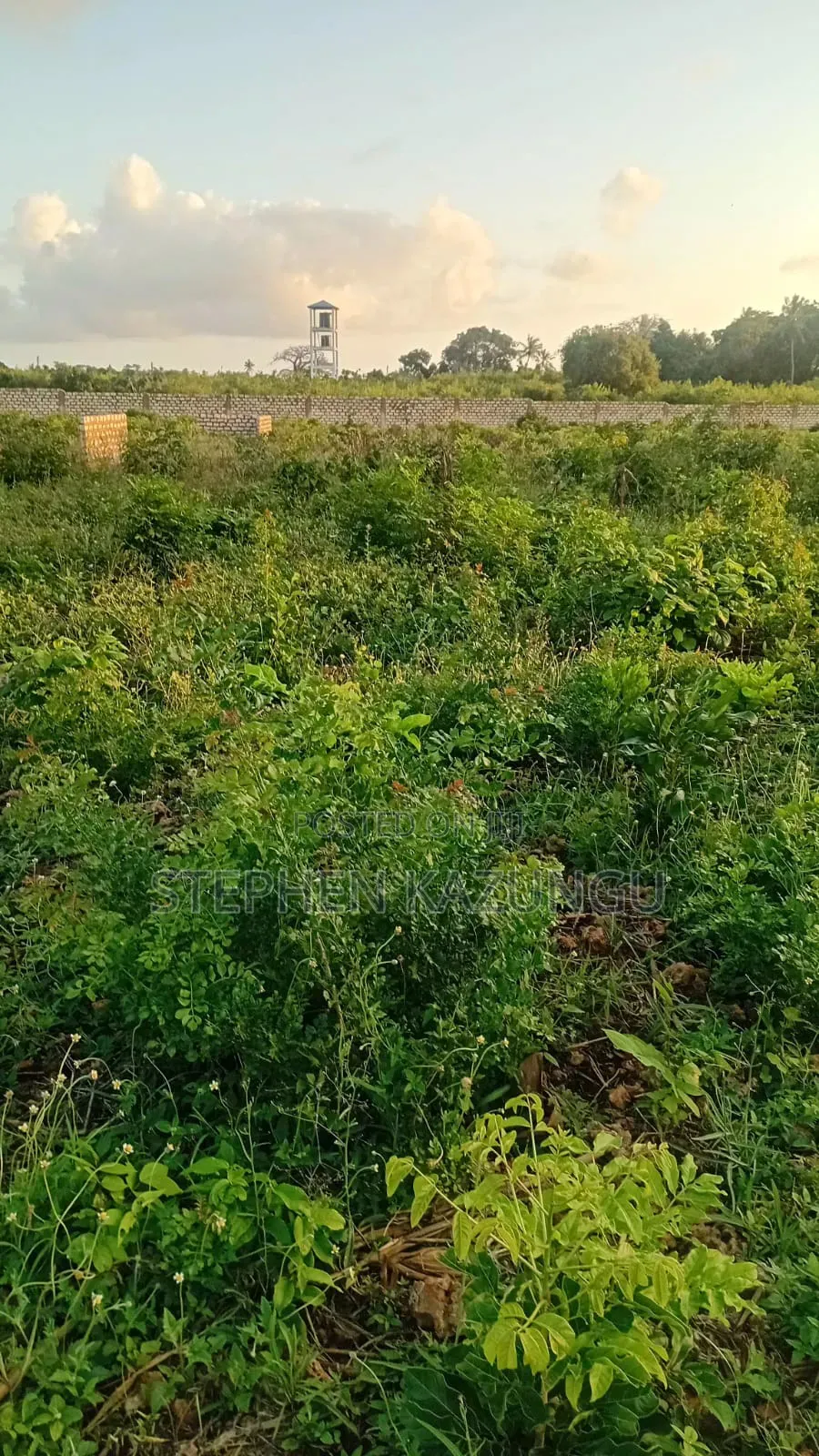 1 Acre Plot on Sale at Galu Beach Only 1.2 KMS From Beach.