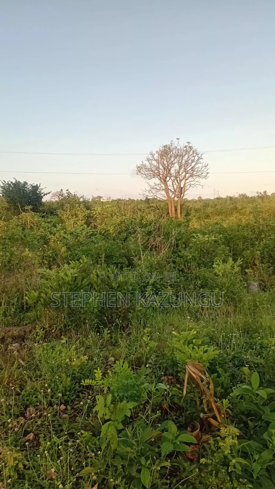 1 Acre Plot on Sale at Galu Beach Only 1.2 KMS From Beach.