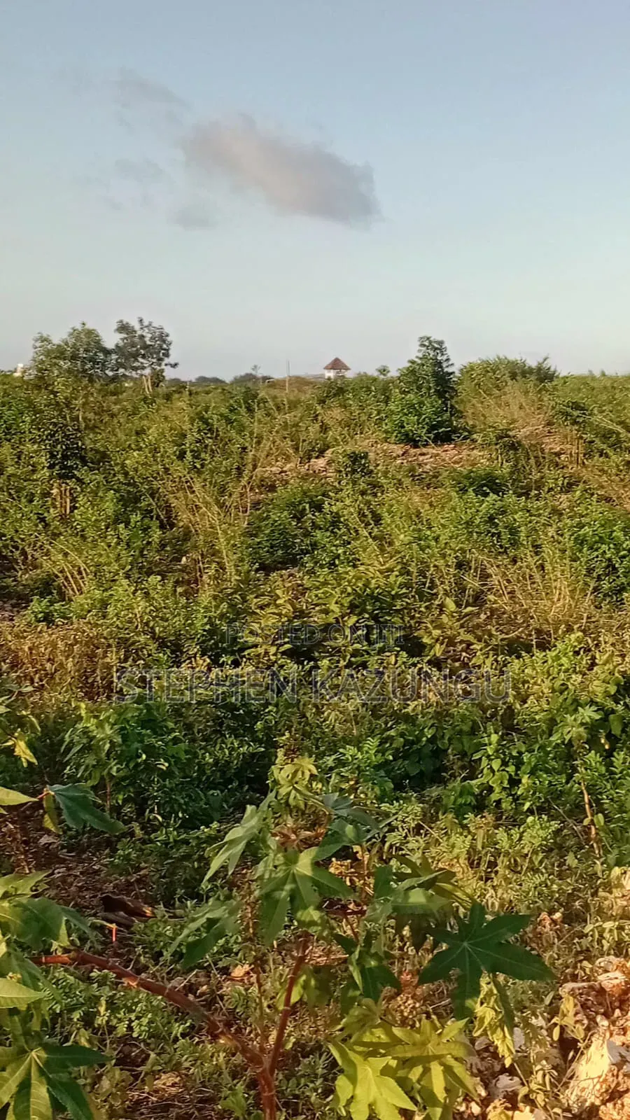 1 Acre Plot on Sale at Galu Beach Only 1.2 KMS From Beach.