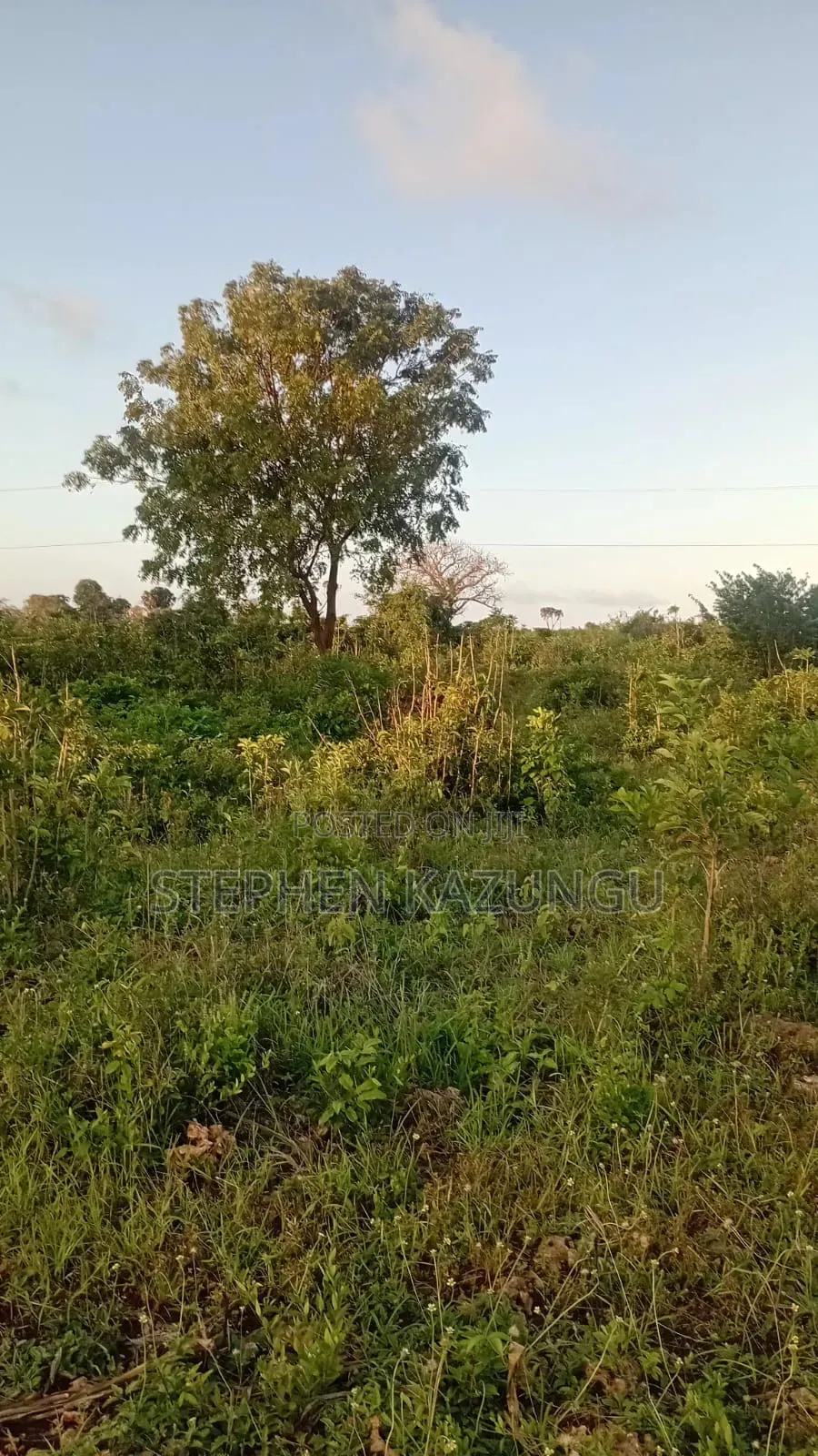 1 Acre Plot on Sale at Galu Beach Only 1.2 KMS From Beach.