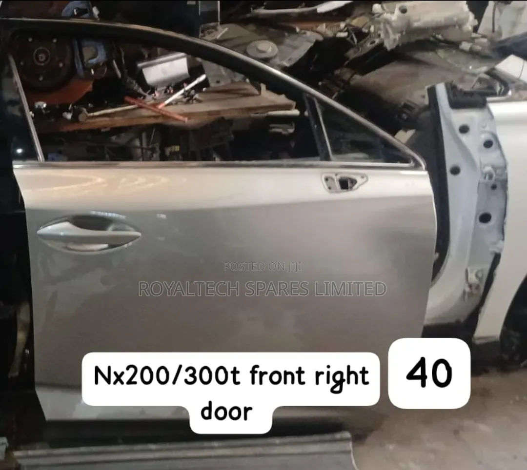 Nx200/300t Front RHS Door