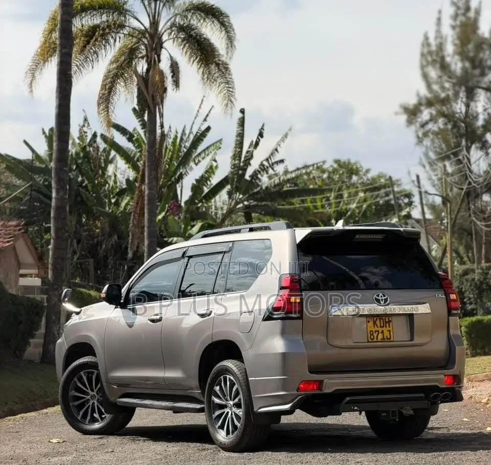 Toyota Land Cruiser Prado 2017 Gray