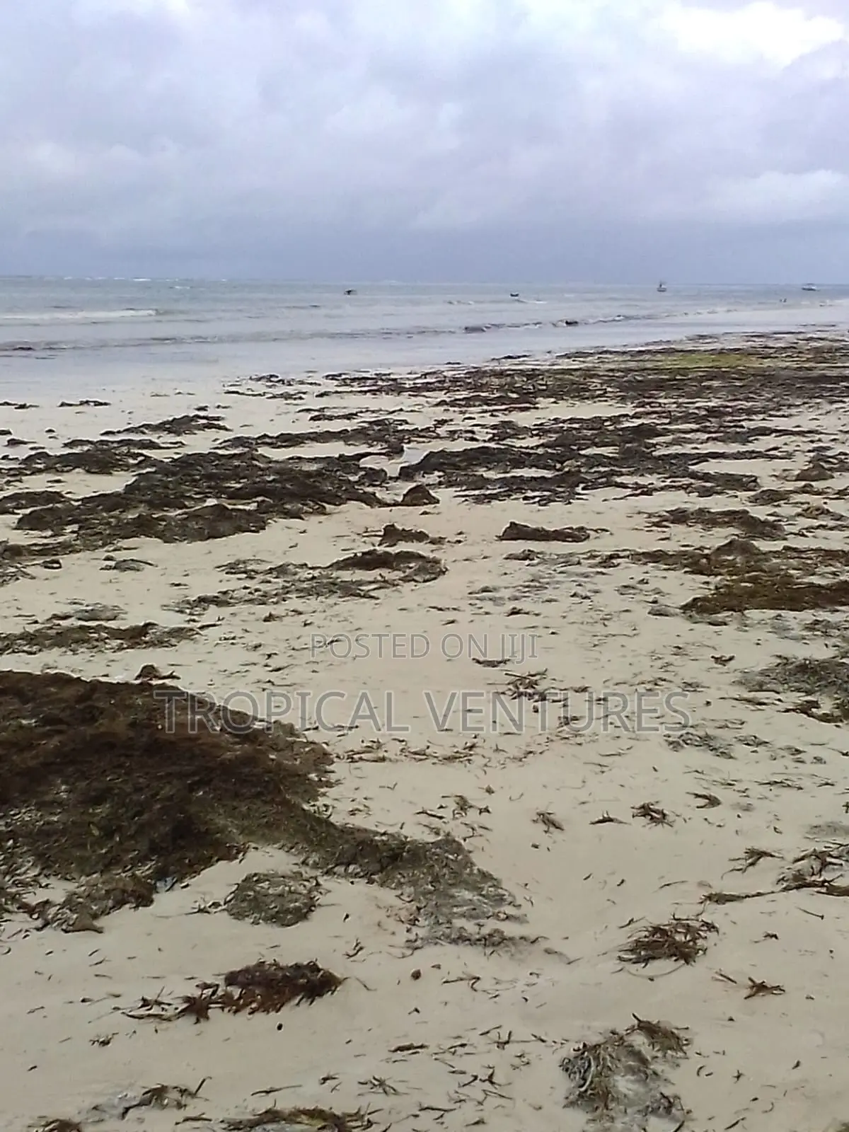 Beach Land for Sale