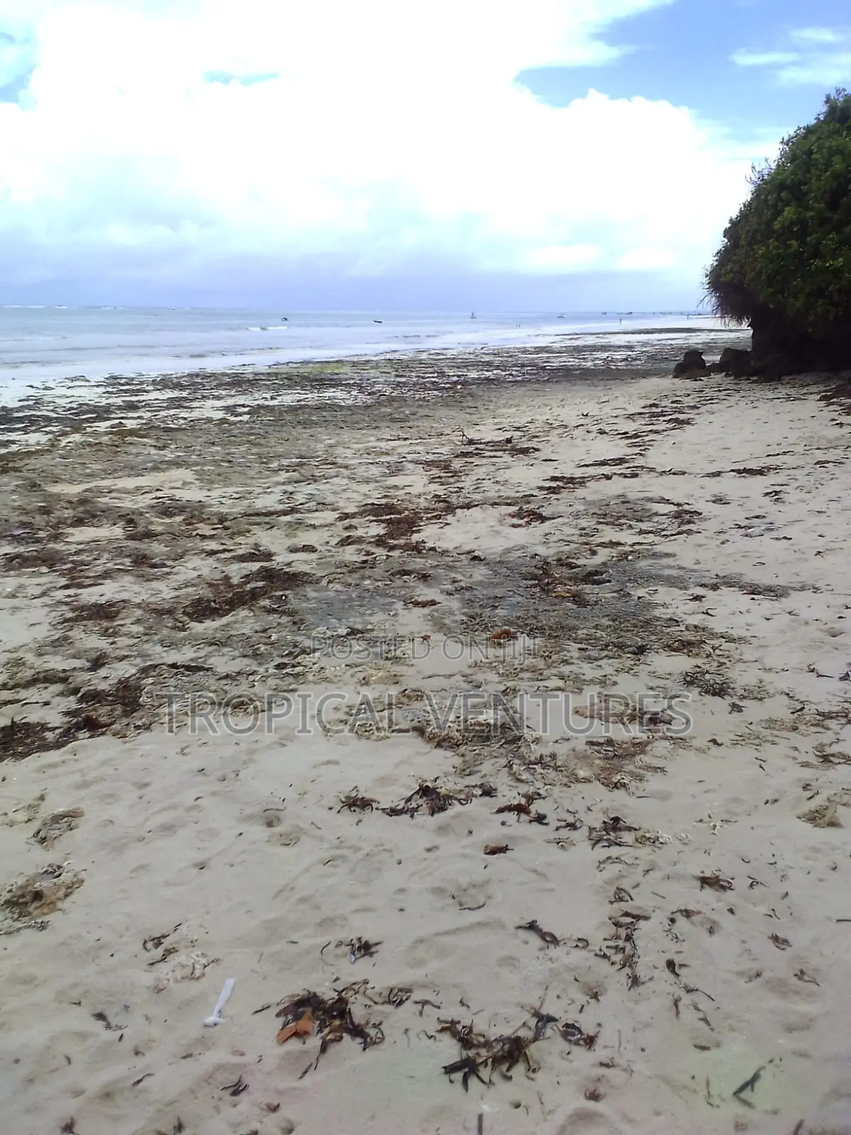 Beach Land for Sale